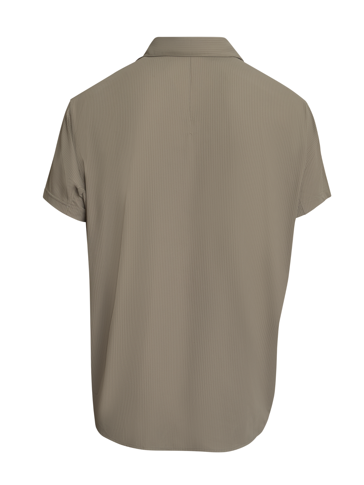 Brad Shirt